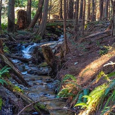 Forest Haven Hideaway Roberts Creek 外观 照片
