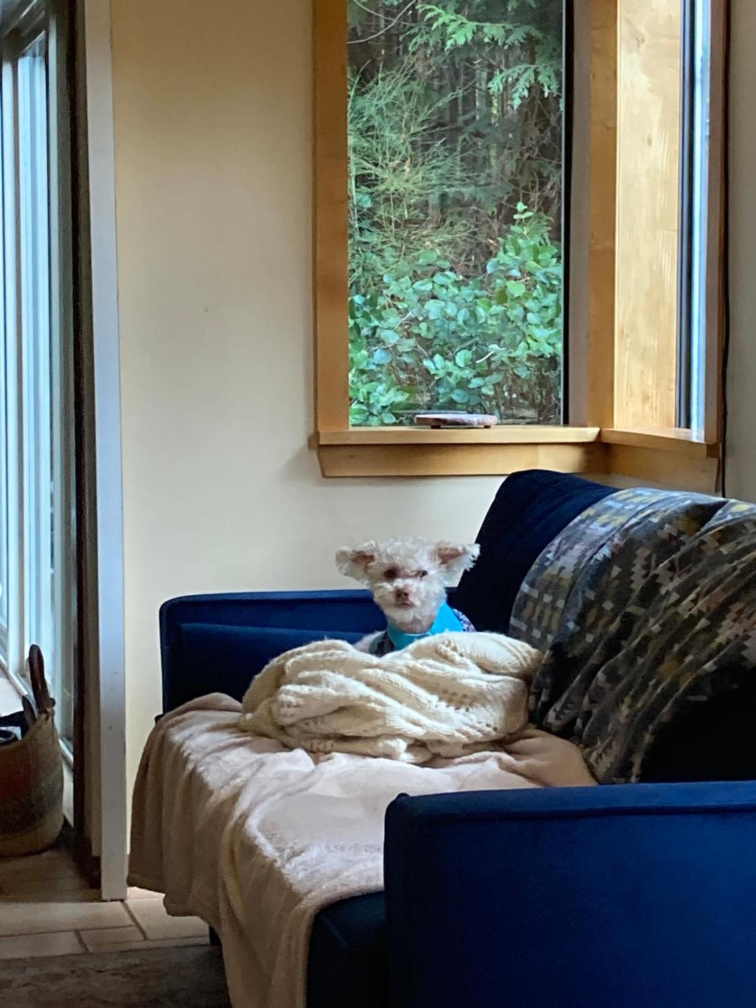 Forest Haven Hideaway Roberts Creek 外观 照片