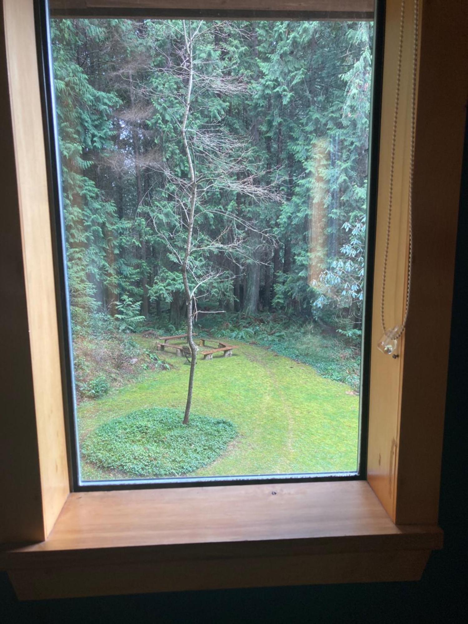 Forest Haven Hideaway Roberts Creek 外观 照片